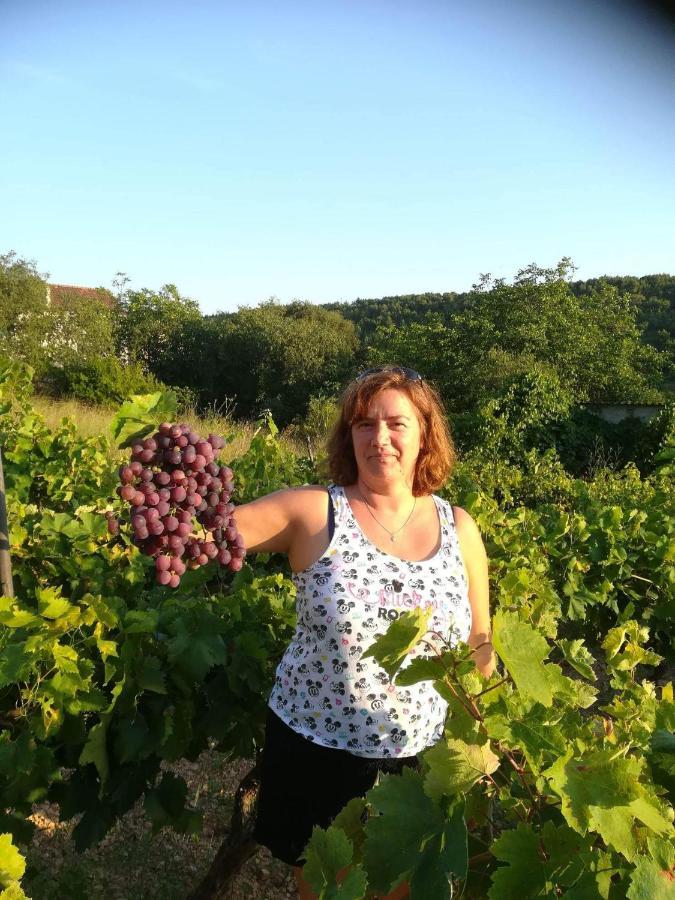 Milda+M Διαμέρισμα Skradin Εξωτερικό φωτογραφία