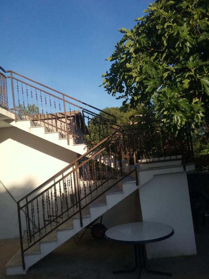 Milda+M Διαμέρισμα Skradin Εξωτερικό φωτογραφία